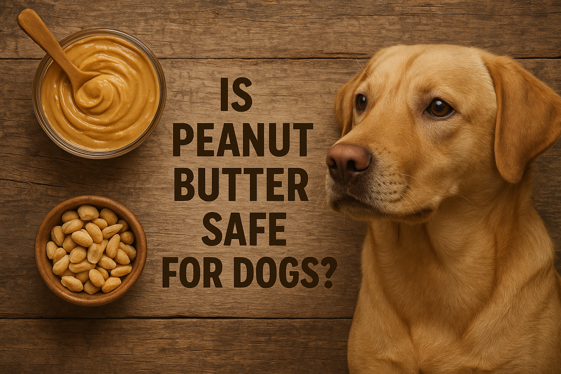 Is Peanut Butter Safe for Dogs?