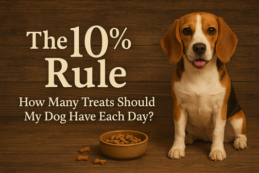 The 10% Rule — How Many Treats Should My Dog Have Each Day?