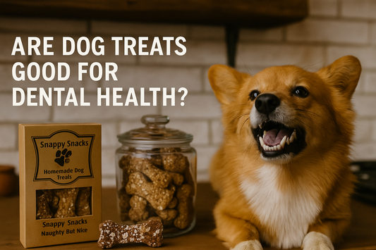 Are Dog Treats Good for Dental Health