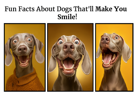 Fun And Interesting Facts About Dogs, Part 1: