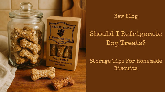 Storage Advice for Homemade Biscuits