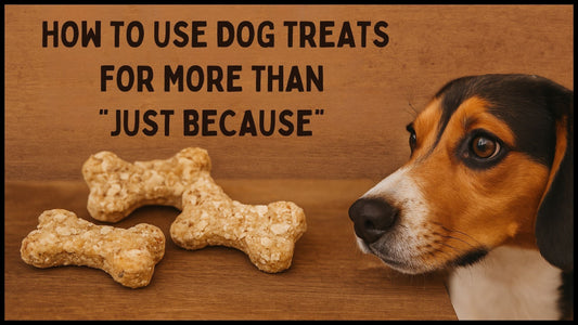 How to Use Dog Treats for More Than "Just Because"