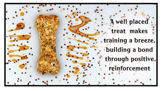 Training Dogs With Dog Treats
