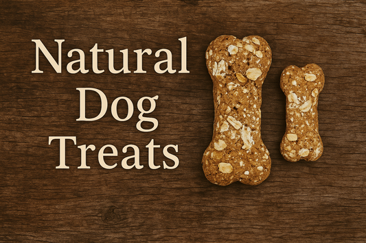 Natural Treats Why Your Dog Deserves Them