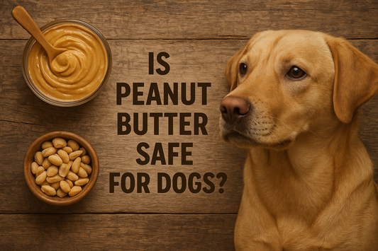 Is Peanut Butter Safe for Dogs?