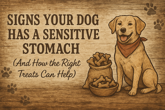 Signs Your Dog Has a Sensitive Stomach