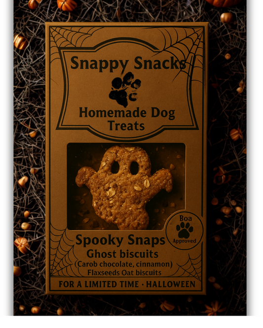 Spooky Snaps  Ghost Biscuits