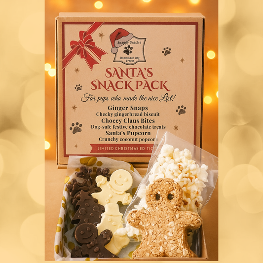 Santa's Snack Pack